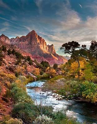 Zion Landscape