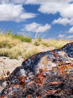 Petrified Forest National Park Audio Guide