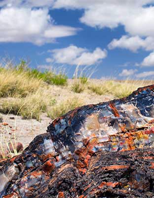 Petrified Forest National Park Audio Guide