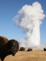 Yellowstone National Park Audio Guide