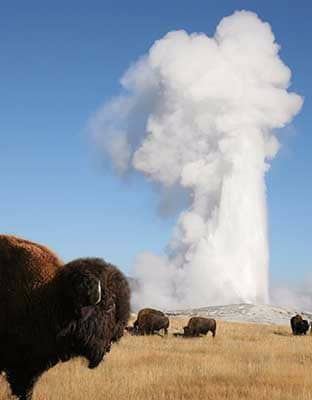 Yellowstone National Park Audio Guide