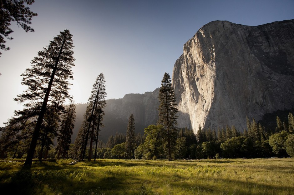 Sights like this are not far from your tent flap when you camp in Yosemite.